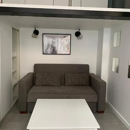 Spacious Bright Split Level Flat In The Fashionable Marais *